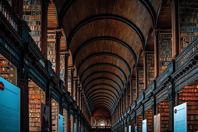 library-5612441_640